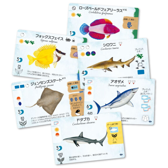 激レア ボンボネロ サメフィン4枚セット 激レア ボンボネロ サメフィン